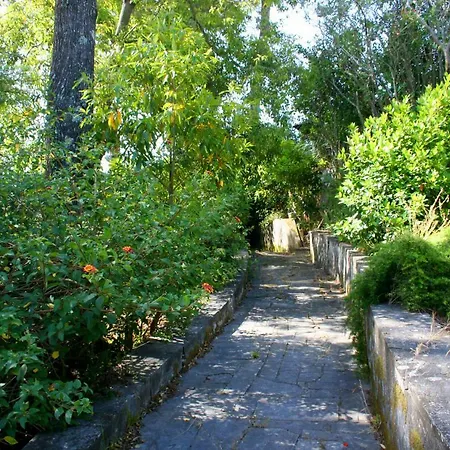 Casa Da Floresta - Senhora Da Paz *